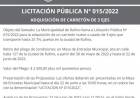 LICITACION N| 015/2022  ADQUISICION CARRETON DE 3 EJES 
