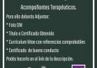 REGISTRO DE ACOMPAÑANTE TERAPEUTICO
