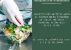 CURSO DE MANIPULACION DE ALIMENTOS