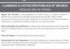 LICITACION PUBLICA N| 008/2023