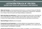 LICITACION PUBLICA N|° 10/2024