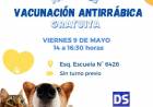 VACUNACION ANTIRRABICA GRATUITA PARA PERROS Y GATOS