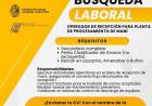 IMPORTANTE: BUSQUEDA LABORALI