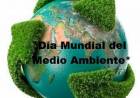 5 DE JUNIO: DIA MUNDIAL DEL MEDIO AMBIENTE
