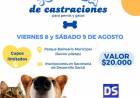ACORDATE: JORNADA DE CASTRACION PARA PERROS Y GATOS