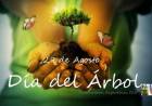 29 DE AGOSTO: DIA DEL ARBOL