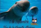 5 DE SETIEMBRE: DIA DE LA VAQUITA MARINA