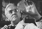 24 DE OCTUBRE DE 1945: ALEXANDER FLEMING RECIBE EL NOBEL DE MEDICINA