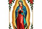 12 DE DICIEMBRE: DIA DE LA VIRGEN DE GUADALUPE