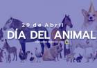 29 DE ABRIL: DIA DEL ANIMAL