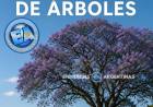 22 DE MAYO: DIA INTERNACIONAL DE LA PLANTACION DE ARBOLES