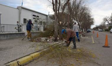 COMENZARON LOS TRABAJOS EN VEREDA