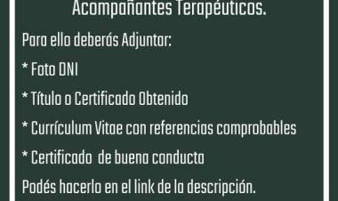 REGISTRO ACOMPAÑANTES TERAPEUTICOS