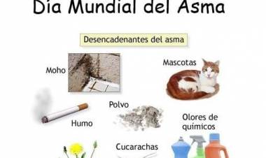 DIA MUNDIAL DEL ASMA