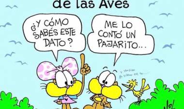 9 DE MAYO: DIA INTERNACIONAL DE LAS AVES