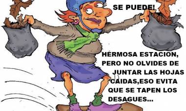 PARA TENER EN CUENTA: OTOÑO