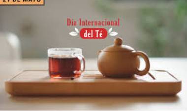 21 DE MAYO: DIA INTERNACIONAL DEL TE