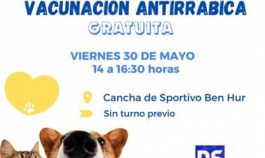 VACUNACION GRATUITA PARA PERROS Y GASTOS