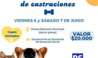 JORNADA DE CASTRACION PARA PERROS Y GATOS