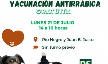 VACUNACION ANTIRRABICA GRATUITA PARA PERROS Y GATOS