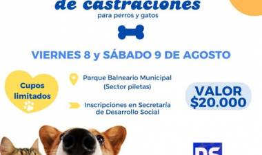 ACORDATE: JORNADA DE  CASTRACIONES PARA PERROS Y GATOS