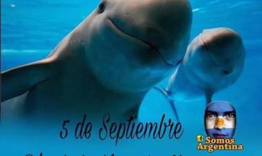 5 DE SETIEMBRE: DIA DE LA VAQUITA MARINA