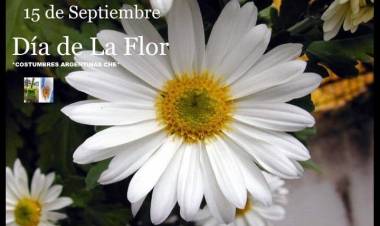 15 DE SETIEMBRE: DIA DE LA FLOR
