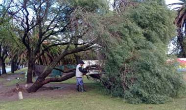 CONSECUENCIAS DE LA TORMENTA