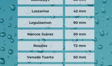 REGISTRO PLUVIOMETRICO ZONAL