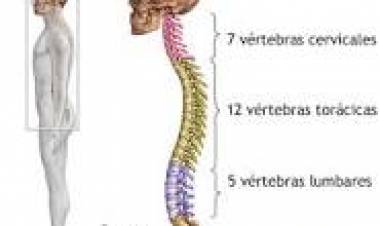 16 DE OCTUBRE: DIA MUNDIAL DE LA COLUMNA VERTEBRAL