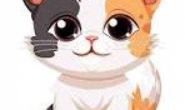 29 DE OCTUBRE: DIA DEL GATO