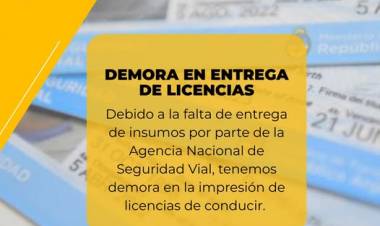 DEMORA ENTREGA DE LICENCIAS