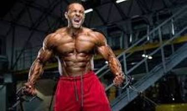 30 DE OCTUBRE: DIA MUNDIAL  DEL FISICOCULTURISMO