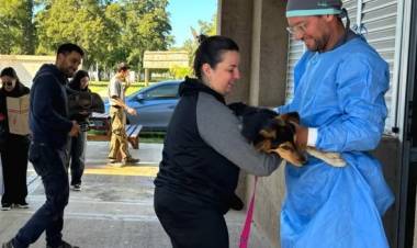 NUEVA JORNADA DE CASTRACION Y VACUNACION