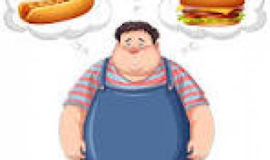 20 DE NOVIEMBRE: DIA MUNDIAL DE LA OBESIDAD