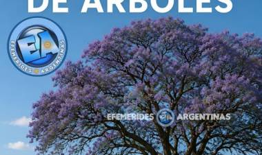 22 DE MAYO: DIA INTERNACIONAL DE LA PLANTACION DE ARBOLES