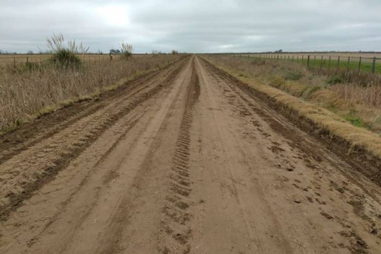 GRAN TRABAJO EN CAMINOS RURALES