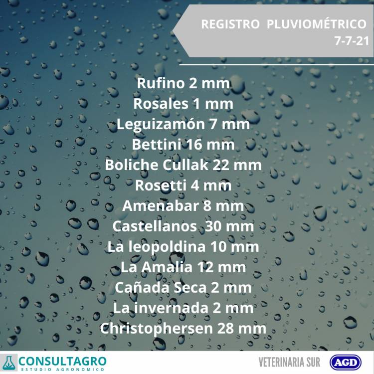 REGISTRO DE LLUVIA EN LA ZONA DÍA 7/7