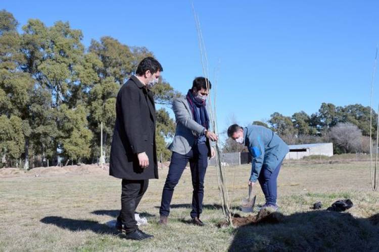 NUEVA ENTREGA DE ARBOLES A CLUBES