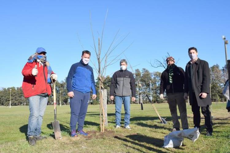 NUEVA ENTREGA DE ARBOLES A CLUBES