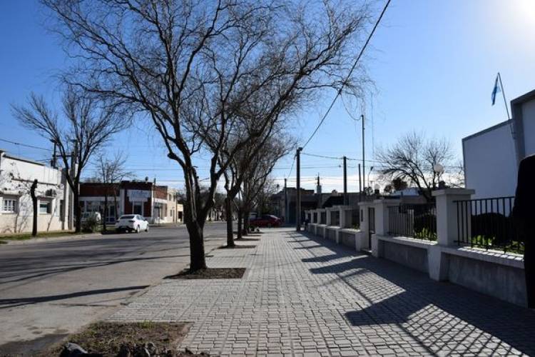 ESCUELA DE LUMINARIAS A ESCUELA 6031
