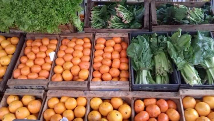 LLEGO ESTA MAÑANA... FRUTERIA Y VERDULERIA AMERICA