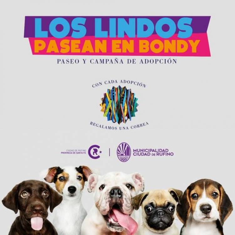 LOS LINDOS PASEAN EN BONDY