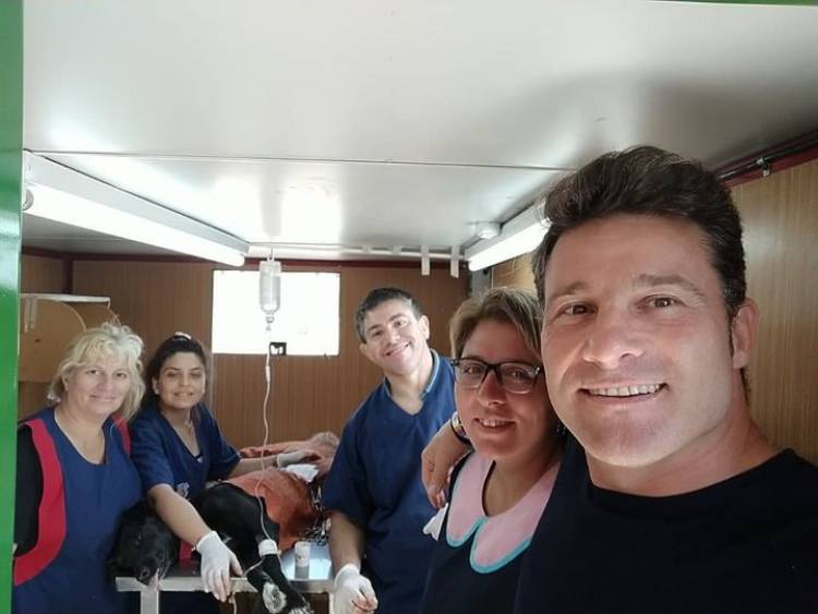 CASTRACIONES EN EL CIM