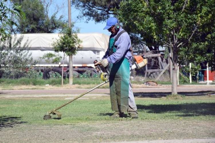 MANTENIMIENTO DE ESPACIOS VERDES