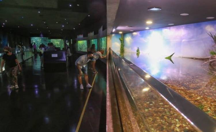 SATISFACCION POR EL ALTO NIVEL DE RESERVAS TURISTICAS PARA SEMANA SANTA
