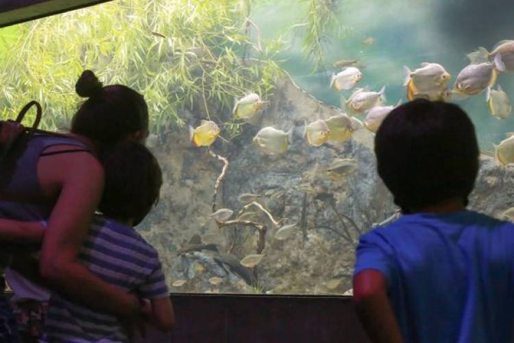 "TURISMO: BALANCE EXITOSO FIN DE SEMANA LARGO EN LA PROVINCIA"