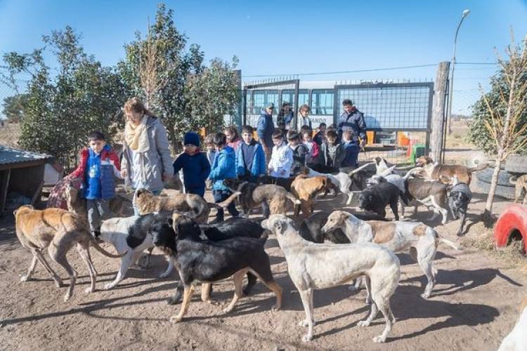 VISITA AL REFUGIO