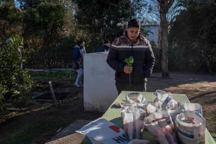 AYER SE REALIZO ENTREGA DE SEMILLAS