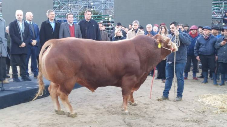 INGRESO EL PRIMER ANIMAL A PALERMO 2022